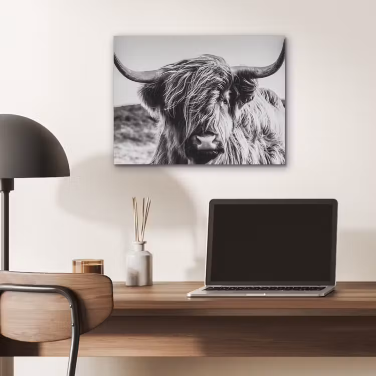 Schotse hooglander - Close up - Horens - Vacht - Zwart Wit PET vilt klein -sfeer5