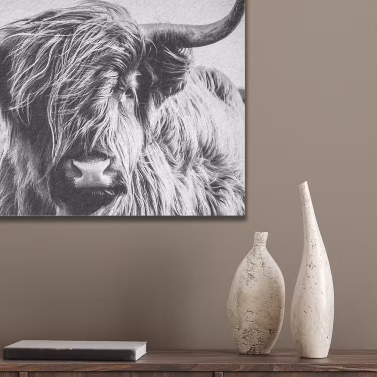 Schotse hooglander - Close up - Horens - Vacht - Zwart Wit PET vilt klein -sfeer6_closeup