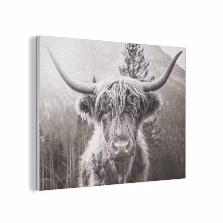 Schotse hooglander - Koe - Dieren - Zwart - Wit PET vilt klein -3d