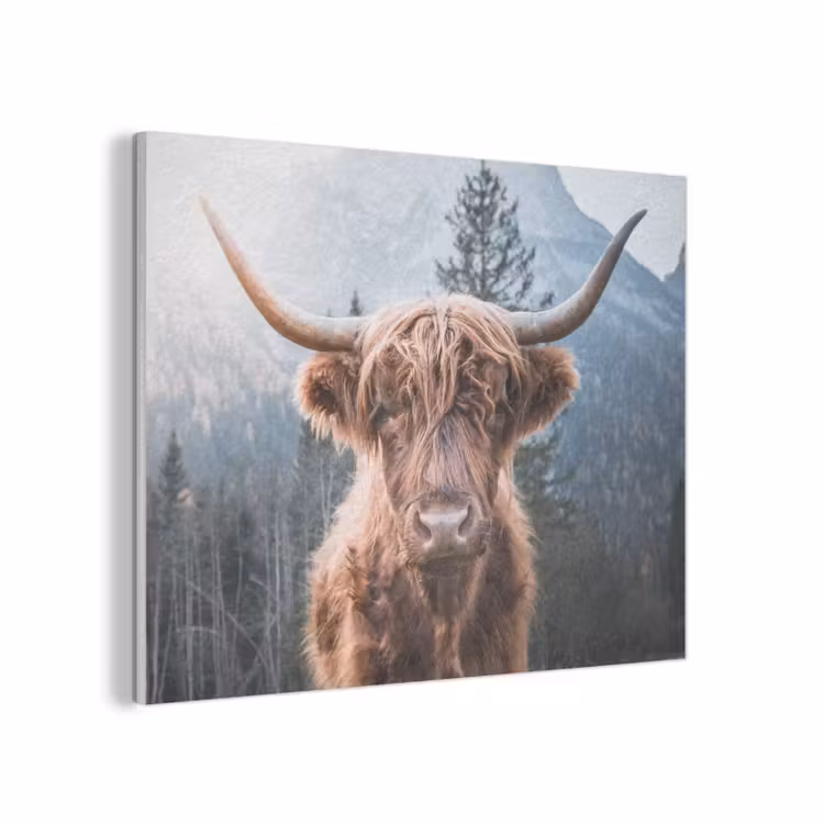 Schotse hooglander - Koe - Dieren - Berg - Natuur PET vilt klein -3d