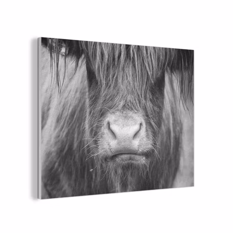 Schotse hooglander - Koe - Zwart - Wit - Dieren PET vilt klein -3d