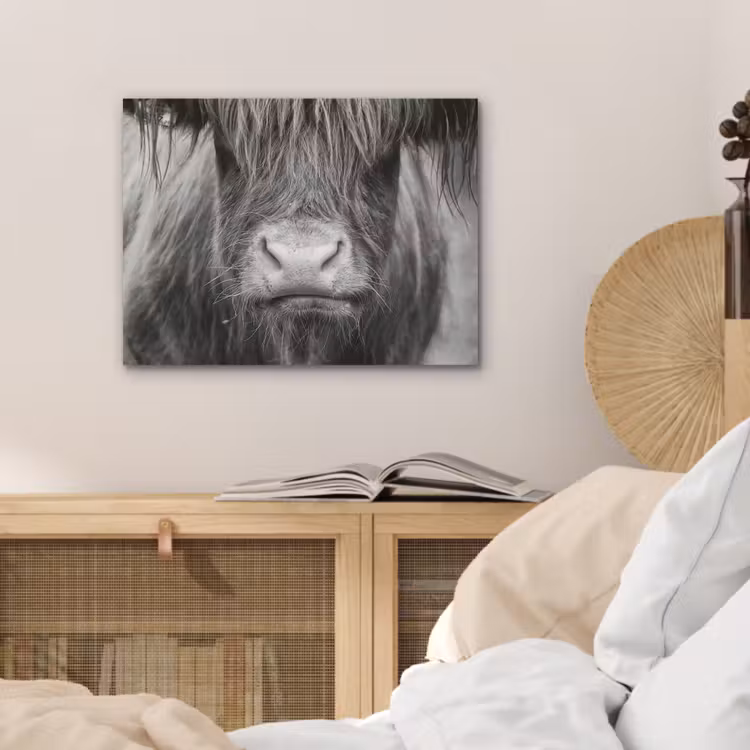 Schotse hooglander - Koe - Zwart - Wit - Dieren PET vilt klein -sfeer3