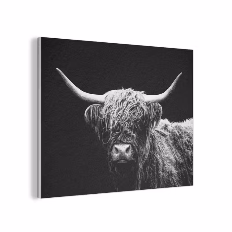 Schotse Hooglander - Koe - Zwart - Wit - Dieren PET vilt klein -3d
