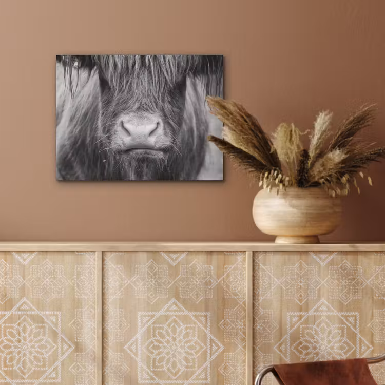 Schotse hooglander - Koe - Zwart - Wit - Dieren PET vilt klein -sfeer4