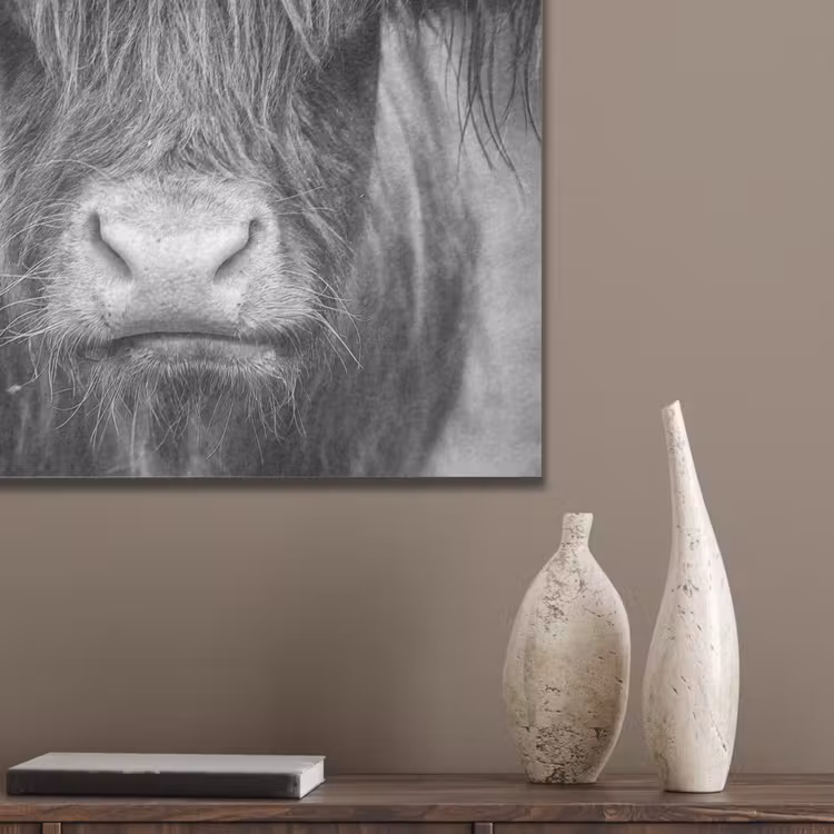 Schotse hooglander - Koe - Zwart - Wit - Dieren PET vilt klein -sfeer6_closeup