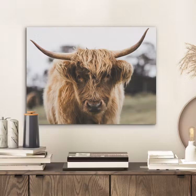 Schotse Hooglander - Koe - Gras - Dieren - Natuur PET vilt klein -sfeer1
