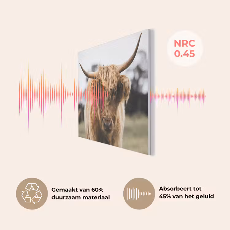 Schotse Hooglander - Koe - Gras - Dieren - Natuur PET vilt klein -USP_NL