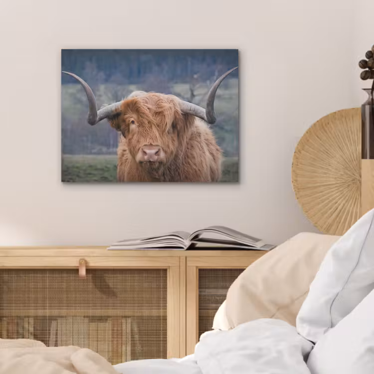 Schotse Hooglander - Koeienkop - Landschap - Natuur - Koe PET vilt klein -sfeer3