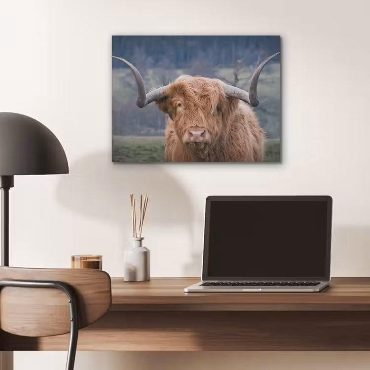 Schotse Hooglander - Koeienkop - Landschap - Natuur - Koe PET vilt klein -sfeer5