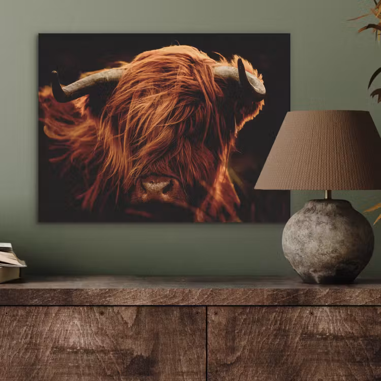 Schotse hooglander - Koe - Hoorns - Portret - Dieren PET vilt klein -sfeer2