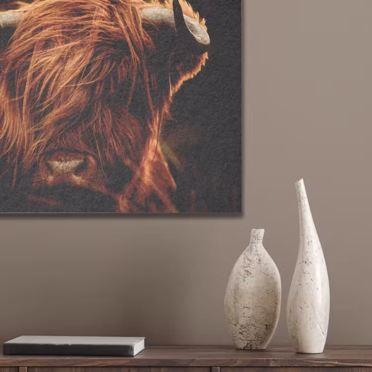 Schotse hooglander - Koe - Hoorns - Portret - Dieren PET vilt klein -sfeer6_closeup