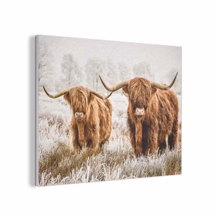 Schotse hooglander - Koe - Natuur - Winter PET vilt klein -3d