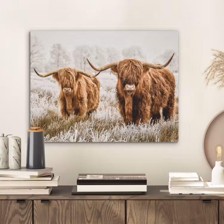 Schotse hooglander - Koe - Natuur - Winter PET vilt klein -sfeer1