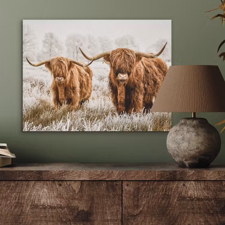 Schotse hooglander - Koe - Natuur - Winter PET vilt klein -sfeer2