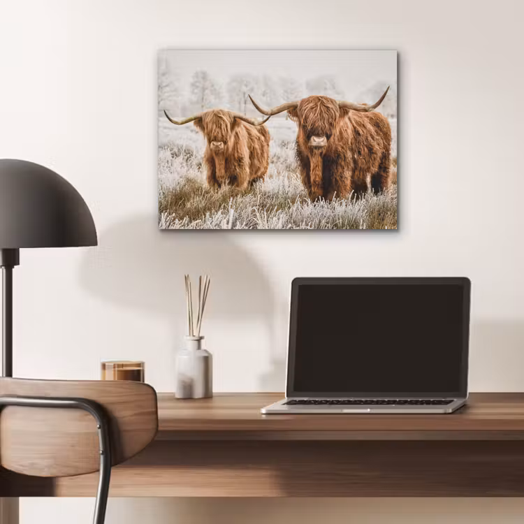 Schotse hooglander - Koe - Natuur - Winter PET vilt klein -sfeer5