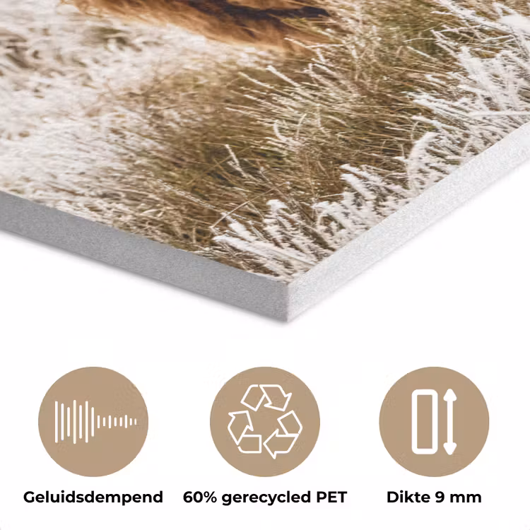 Schotse hooglander - Koe - Natuur - Winter PET vilt klein -closeup_NL