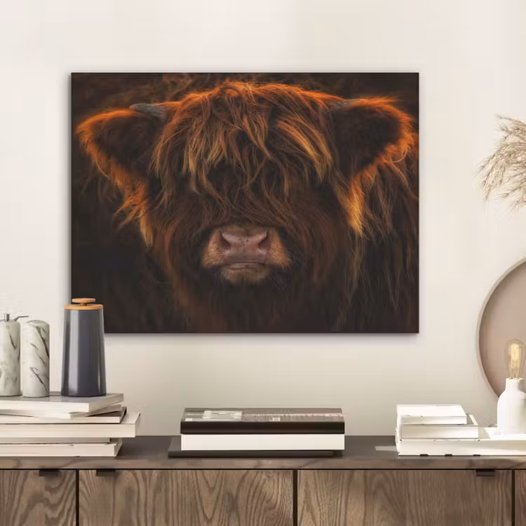 Schotse Hooglander - Koe - Portret - Dieren PET vilt klein -sfeer1
