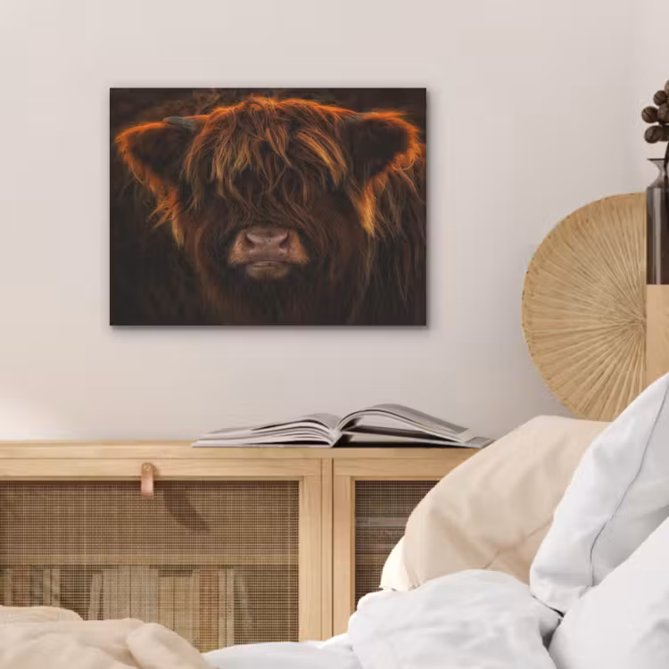 Schotse Hooglander - Koe - Portret - Dieren PET vilt klein -sfeer3
