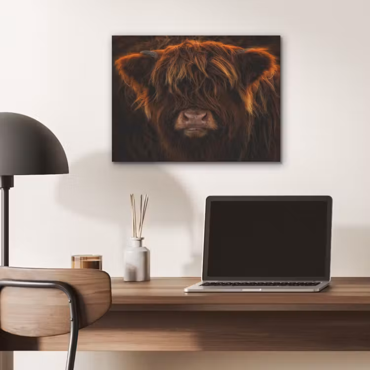 Schotse Hooglander - Koe - Portret - Dieren PET vilt klein -sfeer5