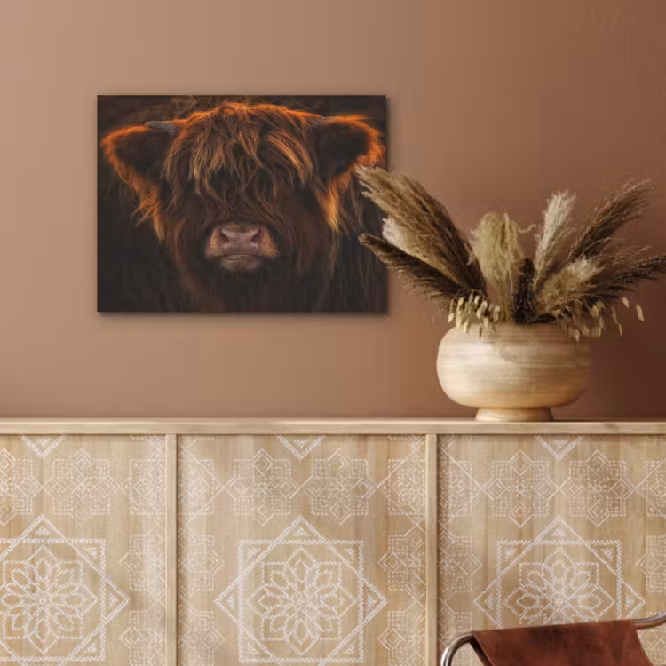 Schotse Hooglander - Koe - Portret - Dieren PET vilt klein -sfeer4