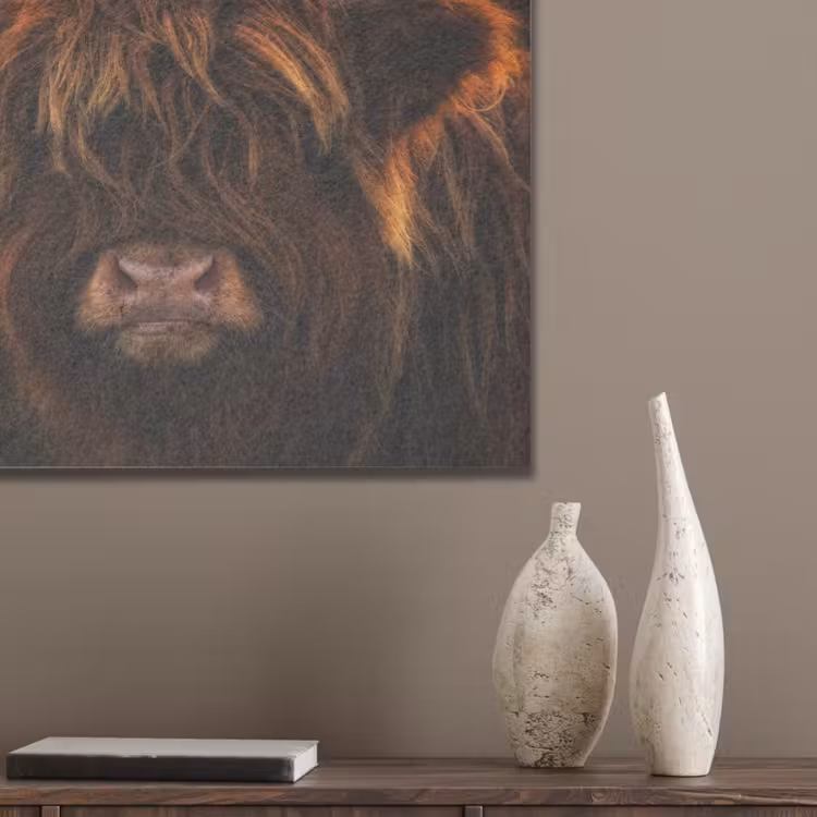 Schotse Hooglander - Koe - Portret - Dieren PET vilt klein -sfeer6_closeup