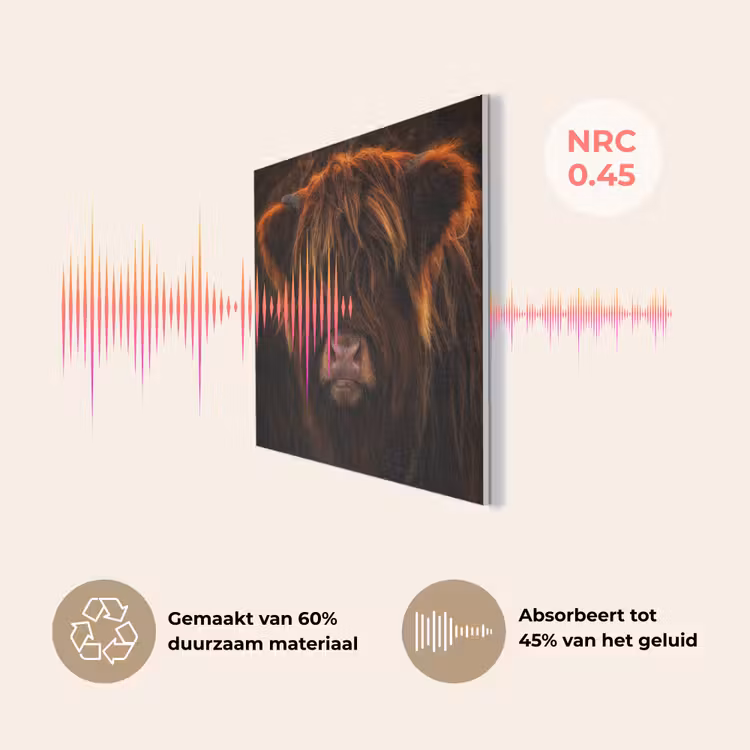 Schotse Hooglander - Koe - Portret - Dieren PET vilt klein -USP_NL