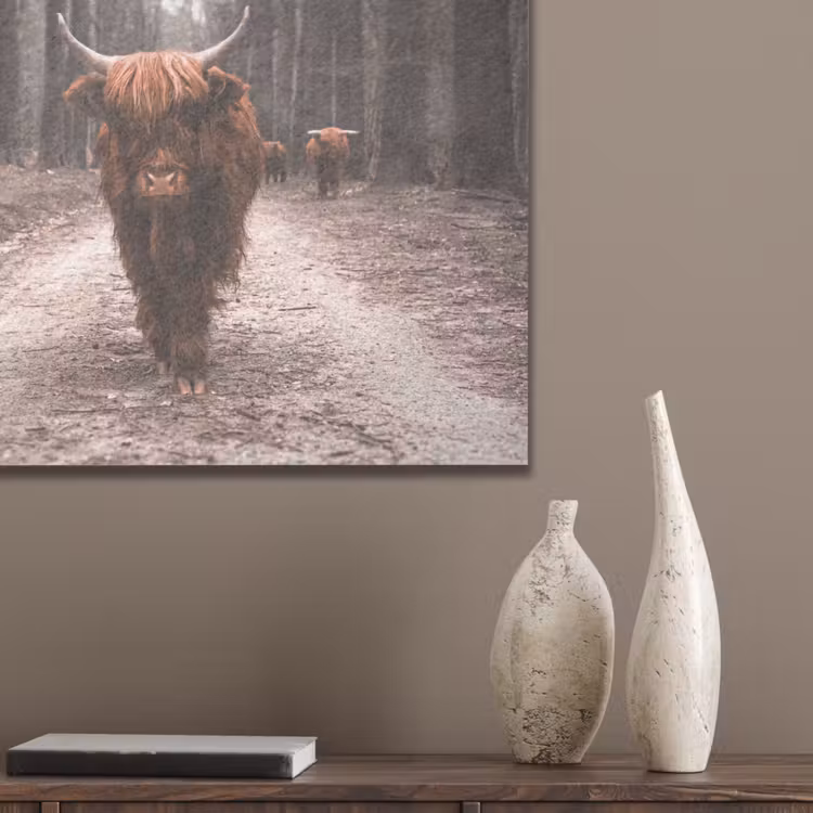 Schotse hooglander - Bos - Koe - Dieren - Natuur PET vilt klein -sfeer6_closeup