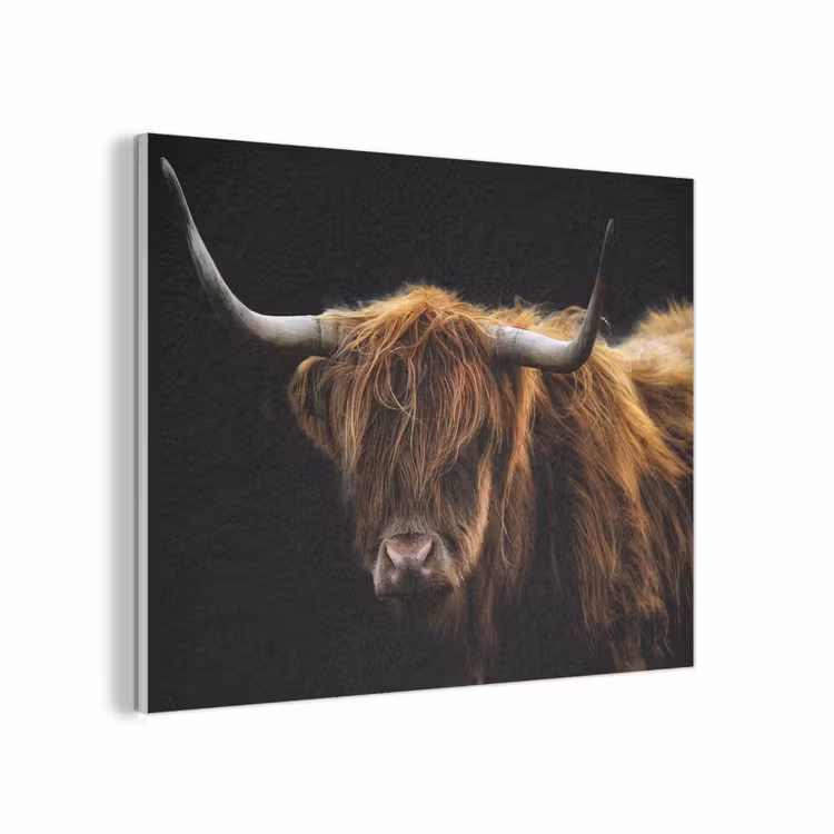 Schotse Hooglander - Horens - Zwart - Dieren - Natuur - Wild - Koe PET vilt klein -3d