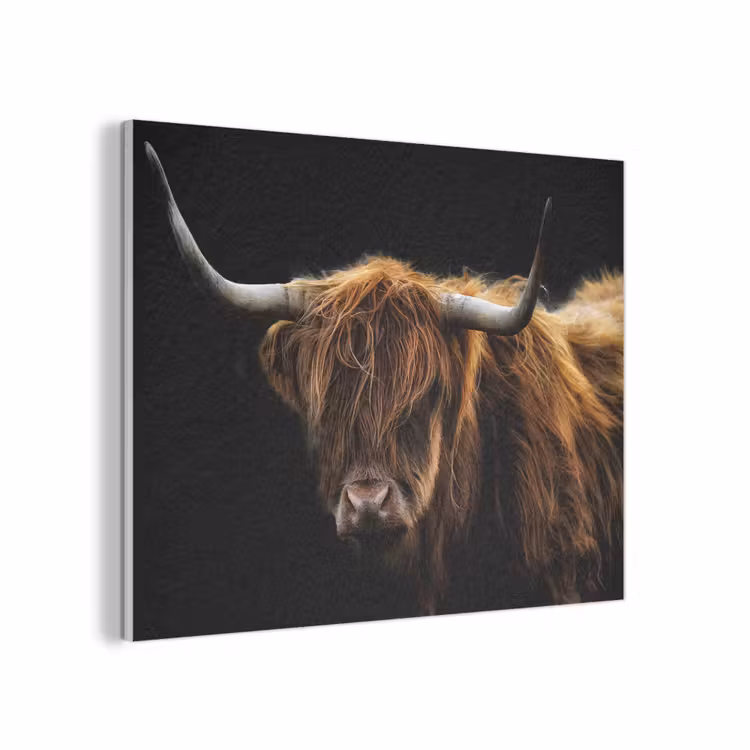 Schotse Hooglander - Horens - Zwart - Dieren - Natuur - Wild - Koe PET vilt klein -3d