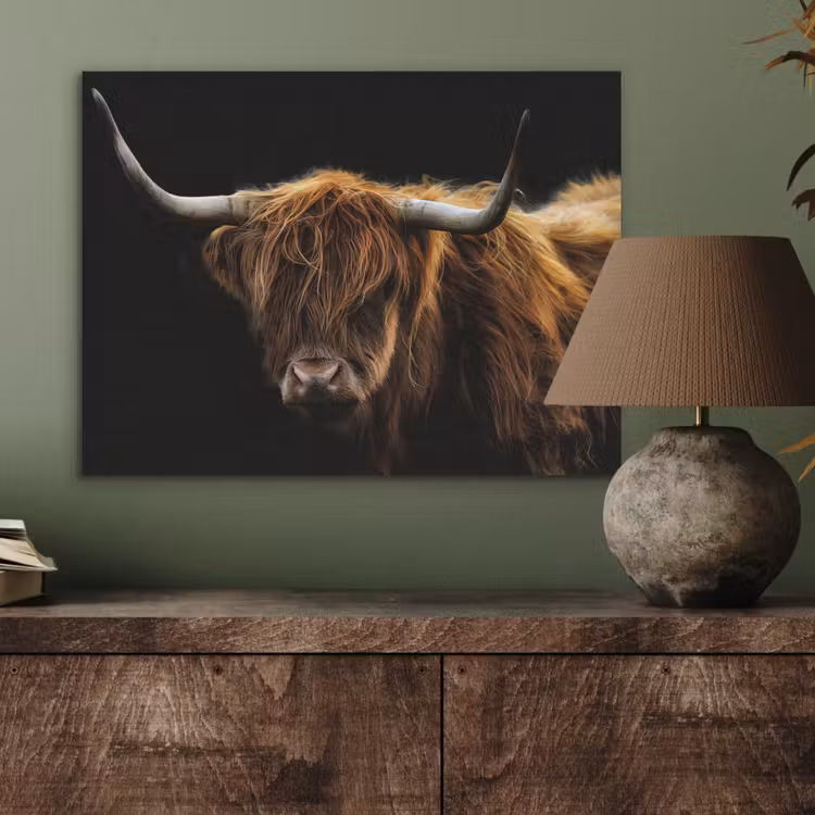 Schotse Hooglander - Horens - Zwart - Dieren - Natuur - Wild - Koe PET vilt klein -sfeer2