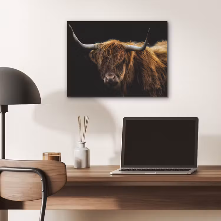 Schotse Hooglander - Horens - Zwart - Dieren - Natuur - Wild - Koe PET vilt klein -sfeer5