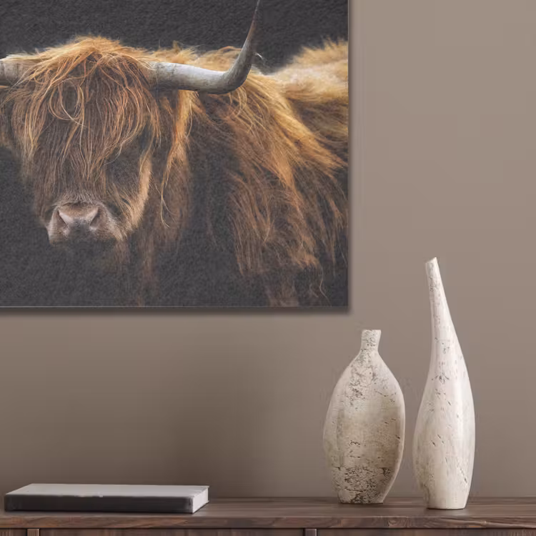 Schotse Hooglander - Horens - Zwart - Dieren - Natuur - Wild - Koe PET vilt klein -sfeer6_closeup