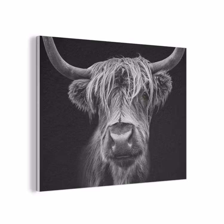 Schotse Hooglander - Horens - Zwart - Wit - Koe - Wild - Dieren PET vilt klein -3d