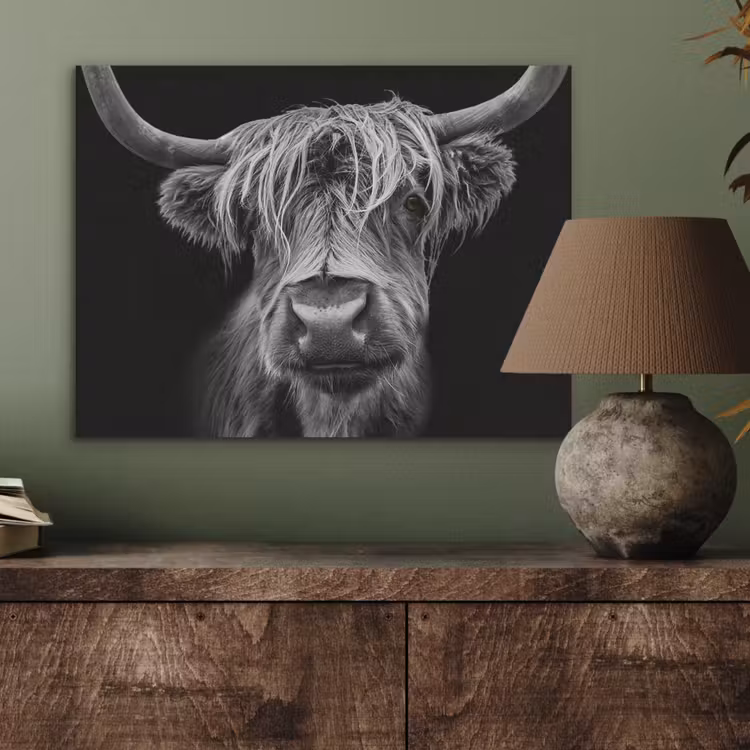 Schotse Hooglander - Horens - Zwart - Wit - Koe - Wild - Dieren PET vilt klein -sfeer2