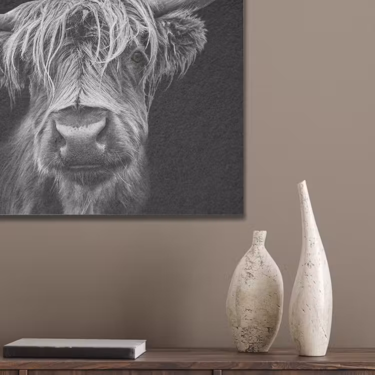 Schotse Hooglander - Horens - Zwart - Wit - Koe - Wild - Dieren PET vilt klein -sfeer6_closeup