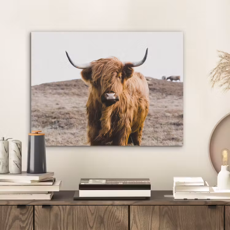 Schotse hooglander - Landschap - Koe - Bruin - Dieren - Natuur PET vilt klein -sfeer1