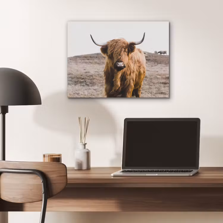 Schotse hooglander - Landschap - Koe - Bruin - Dieren - Natuur PET vilt klein -sfeer5