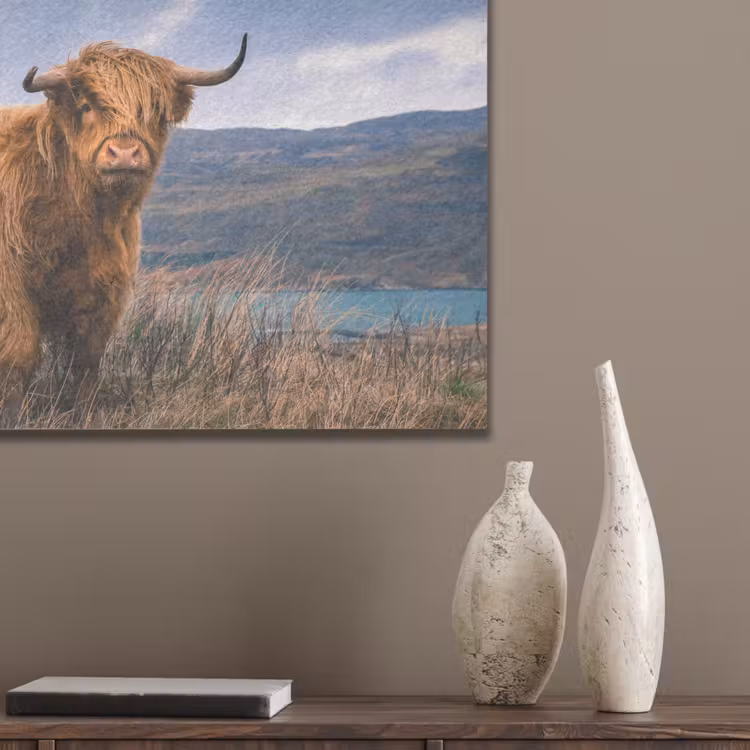 Schotse Hooglander - Berg - Water - Natuur - Koe PET vilt klein -sfeer6_closeup