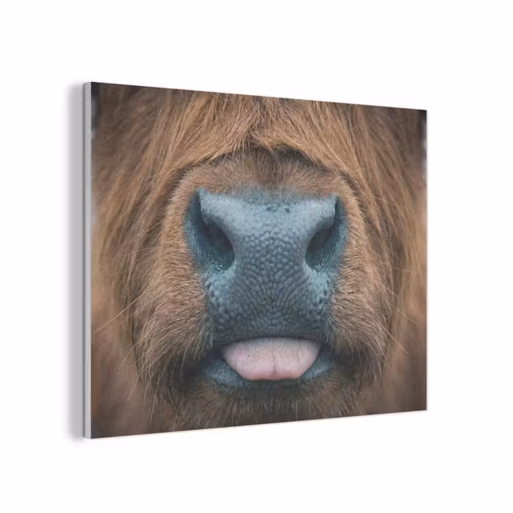 Schotse hooglander - Neus - Bruin PET vilt klein -3d