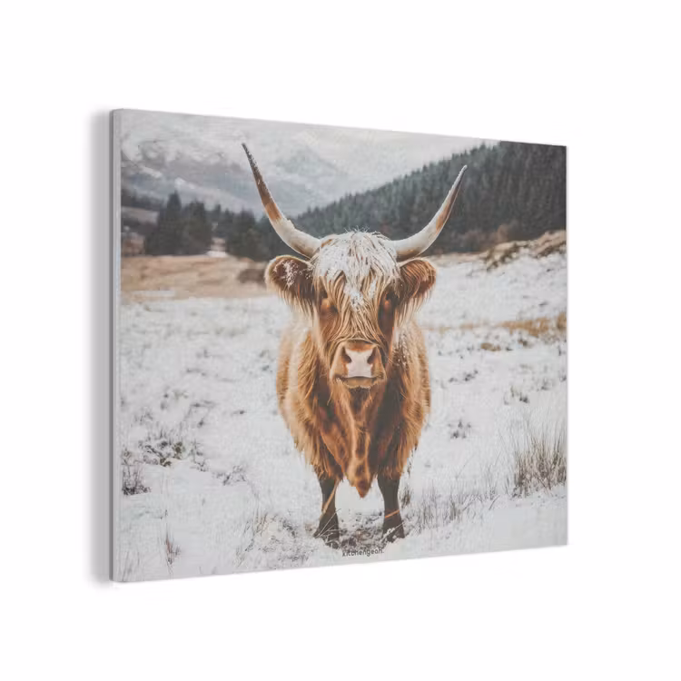 Schotse Hooglander - Sneeuw - Winter - Dieren PET vilt klein -3d
