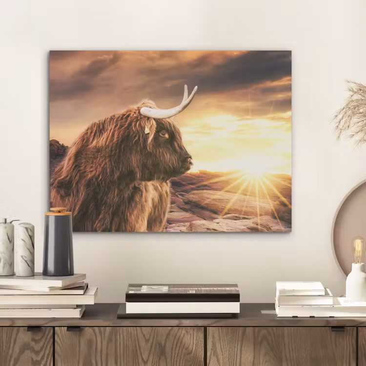 Schotse hooglander - Zon - Horizon - Koe - Dieren PET vilt klein -sfeer1