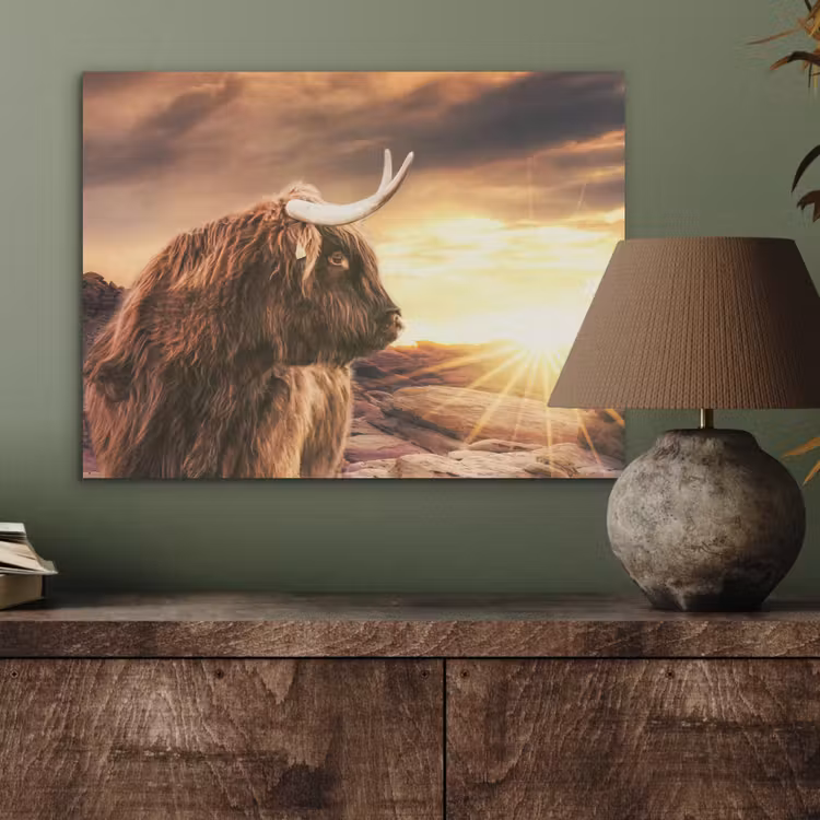Schotse hooglander - Zon - Horizon - Koe - Dieren PET vilt klein -sfeer2