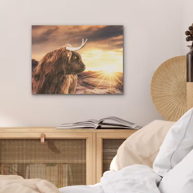 Schotse hooglander - Zon - Horizon - Koe - Dieren PET vilt klein -sfeer3