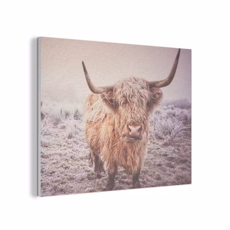 Schotse hooglanders - Licht - Lucht - Natuur PET vilt klein -3d
