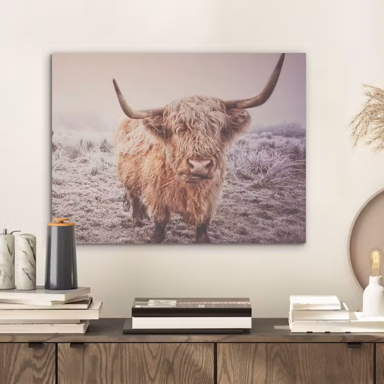 Schotse hooglanders - Licht - Lucht - Natuur PET vilt klein -sfeer1