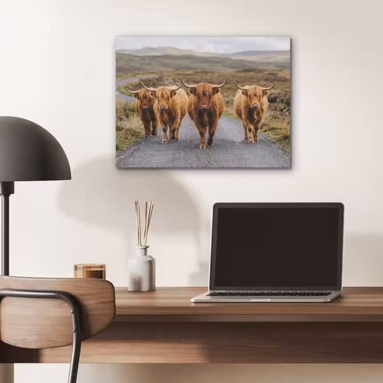 Schotse Hooglanders - Weg - Landschap - Kudde PET vilt klein -sfeer5