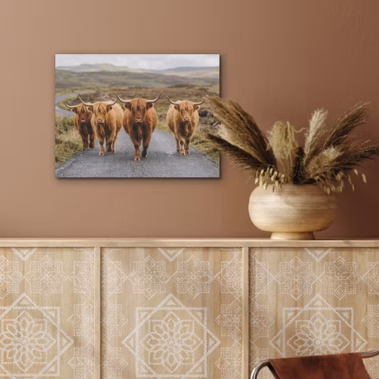Schotse Hooglanders - Weg - Landschap - Kudde PET vilt klein -sfeer4