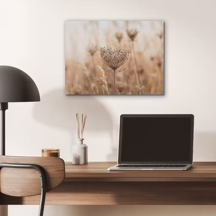 Schermbloem - Droogbloem - Winter - Beige - Minimalistisch PET vilt klein -sfeer5