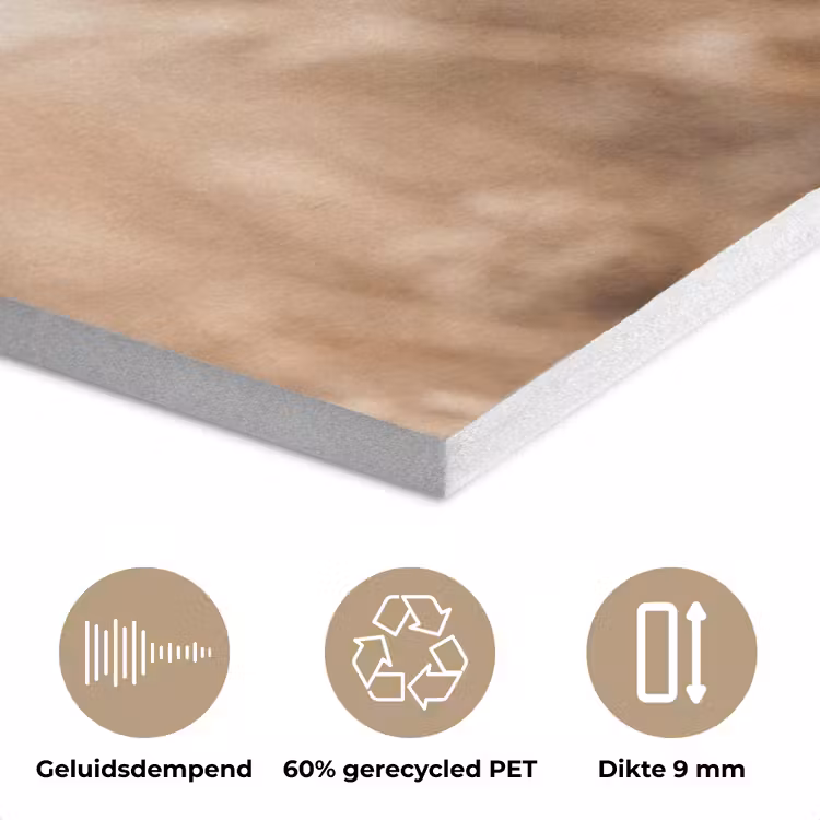 Schermbloem - Droogbloem - Winter - Beige - Minimalistisch PET vilt klein -closeup_NL