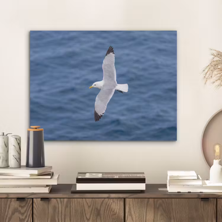 Zeemeeuw - Oceaan - Blauw PET vilt klein -sfeer1